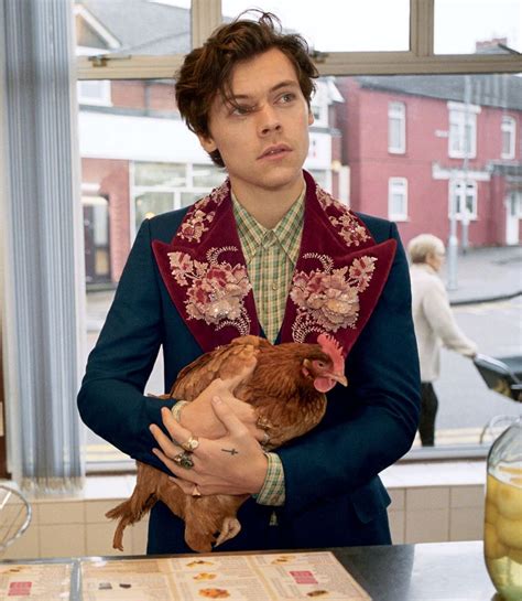 harry styles gucci style